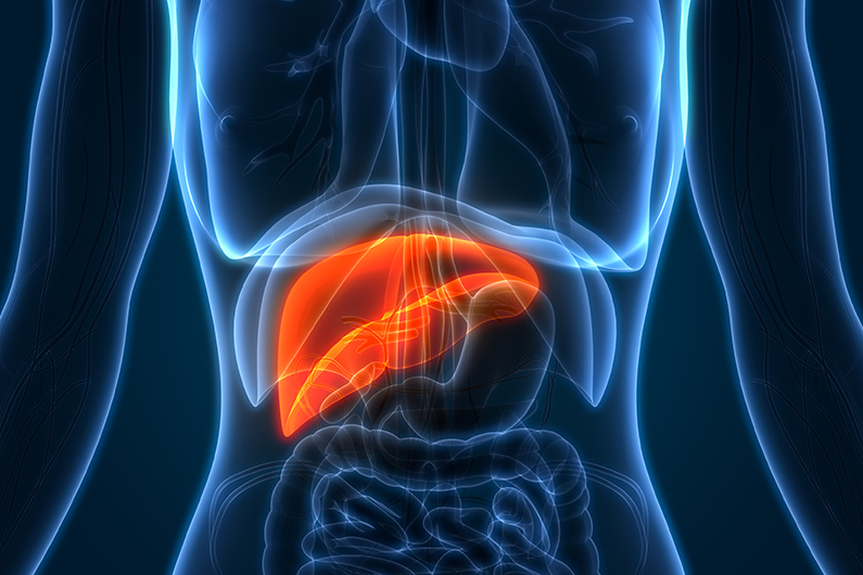 graphic of liver