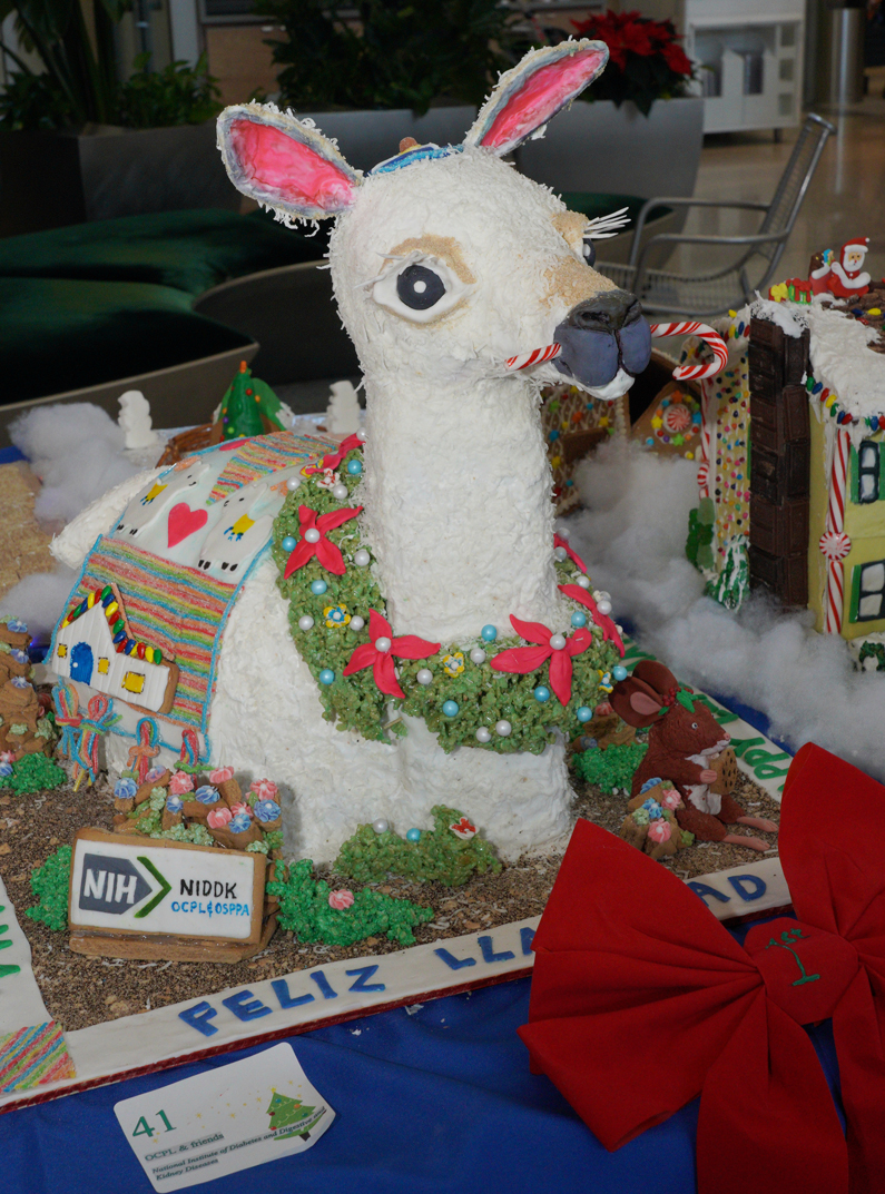 This gingerbread creation titled Felis Llamidad is a llama