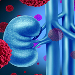 medical illustration of kidneys and blood cells