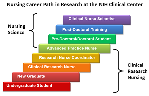 clinical research career ladder