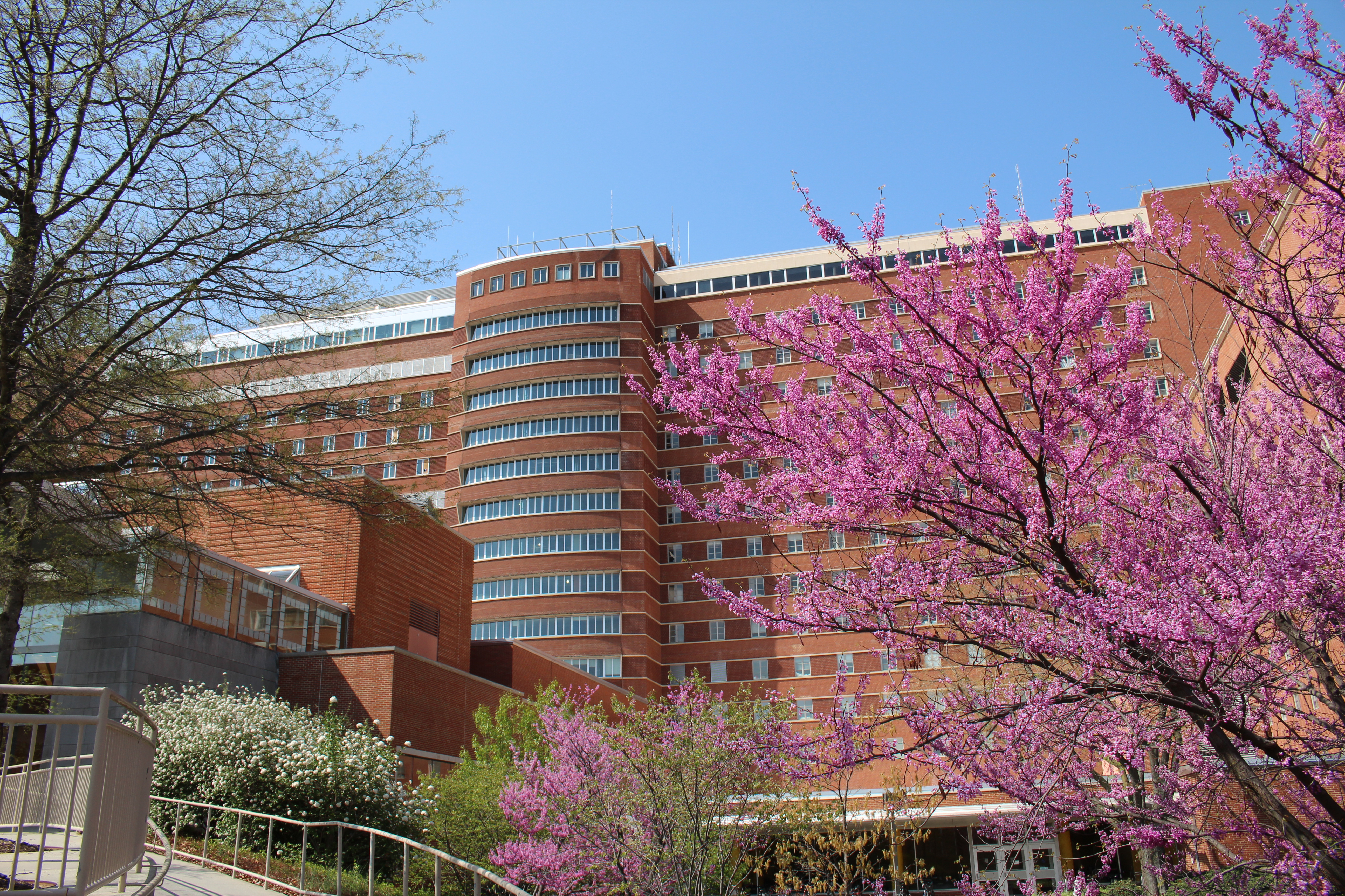 the south entrance of the NIH Clinical Center